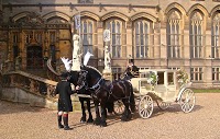 K R M Horse Drawn Carriage Services 1100883 Image 2